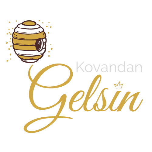 kovandangelsin.com