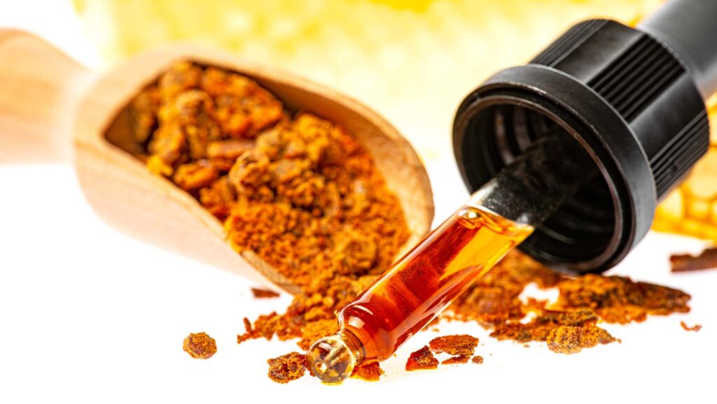 Gerçek Propolis Nereden Alınır ?